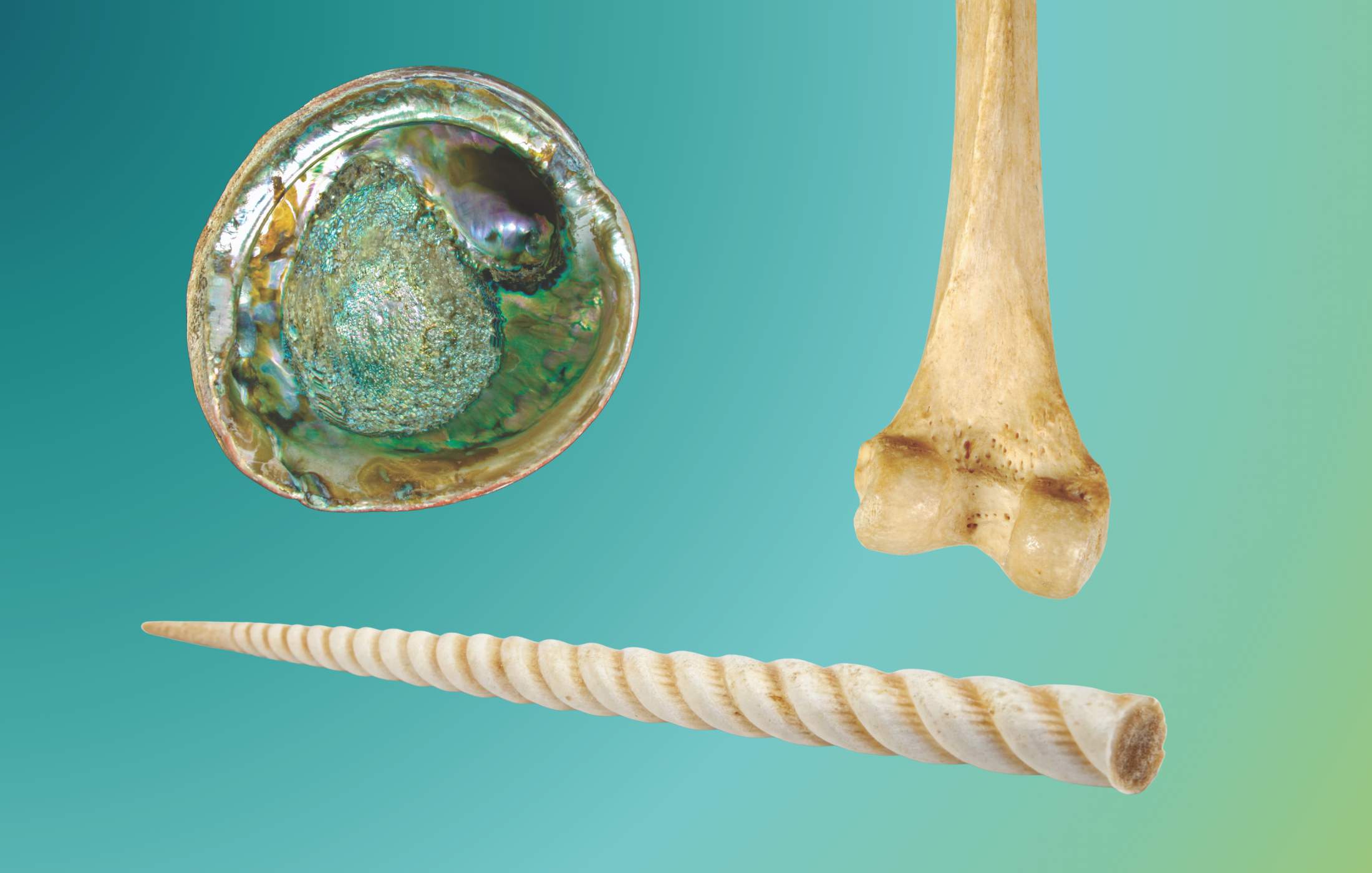 Close-up of a spherical bioinspired ceramic structure, a bone fragment, and a spiral drill bit on a gradient background.