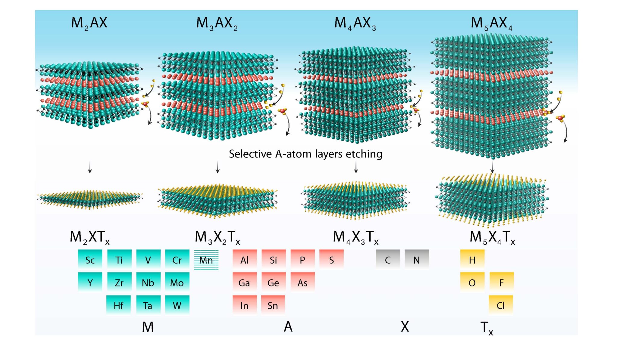 MXenes for atomistic design of 2D nanoceramics