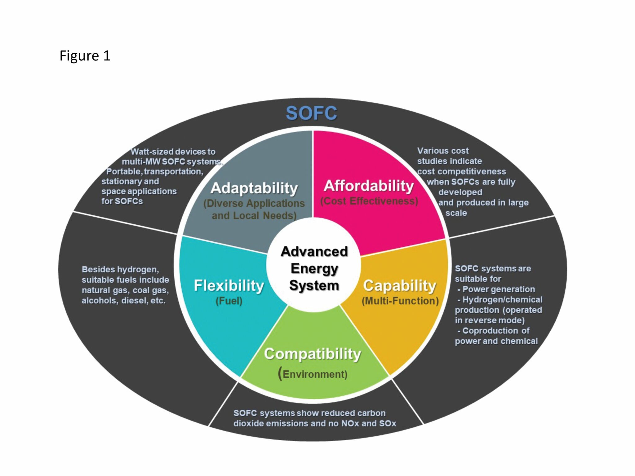 Solid oxide fuel cell technology for the future