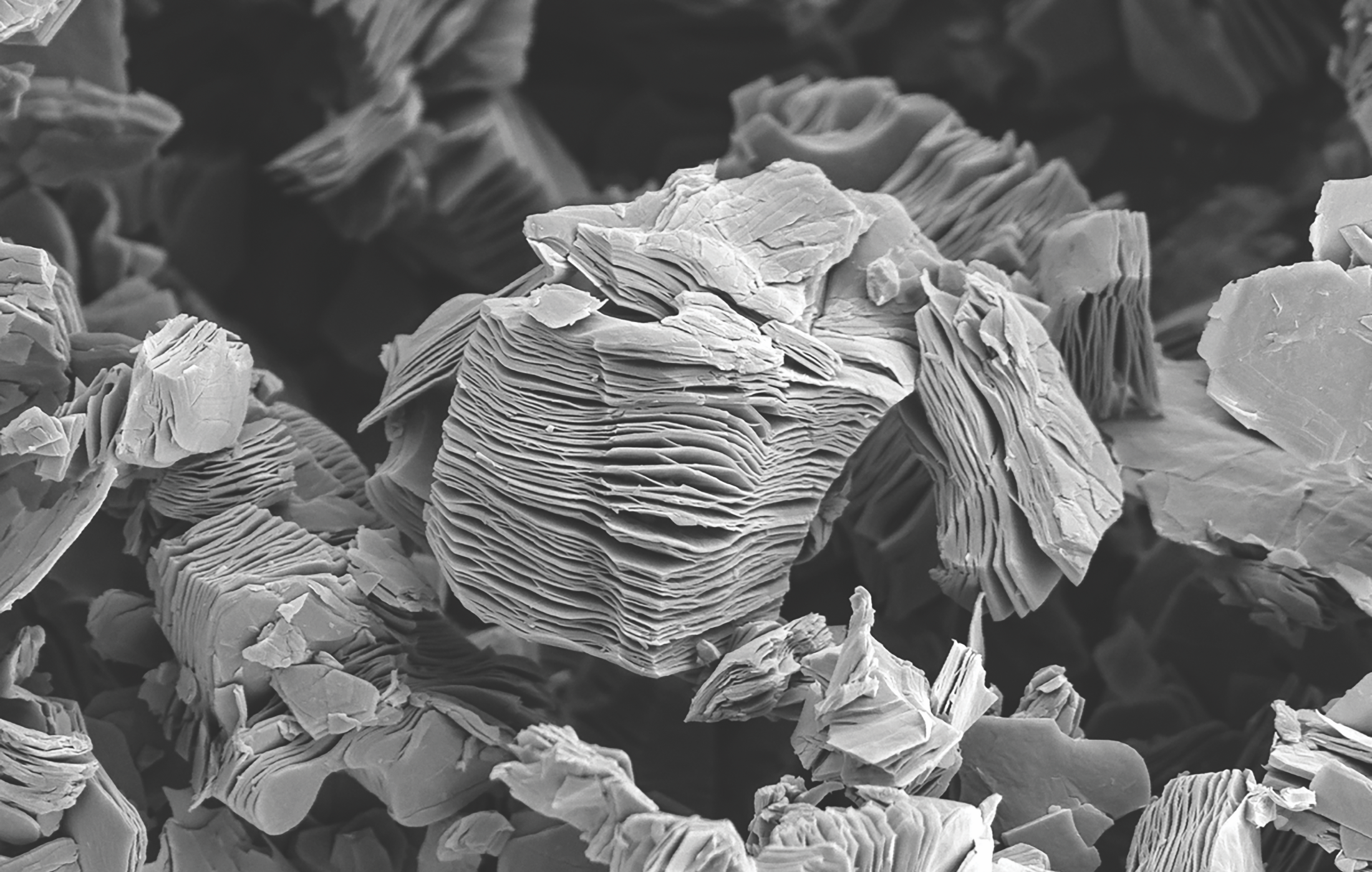 The accordion-like morphology of etched MXene powder captured via field emission-scanning electron microscope.