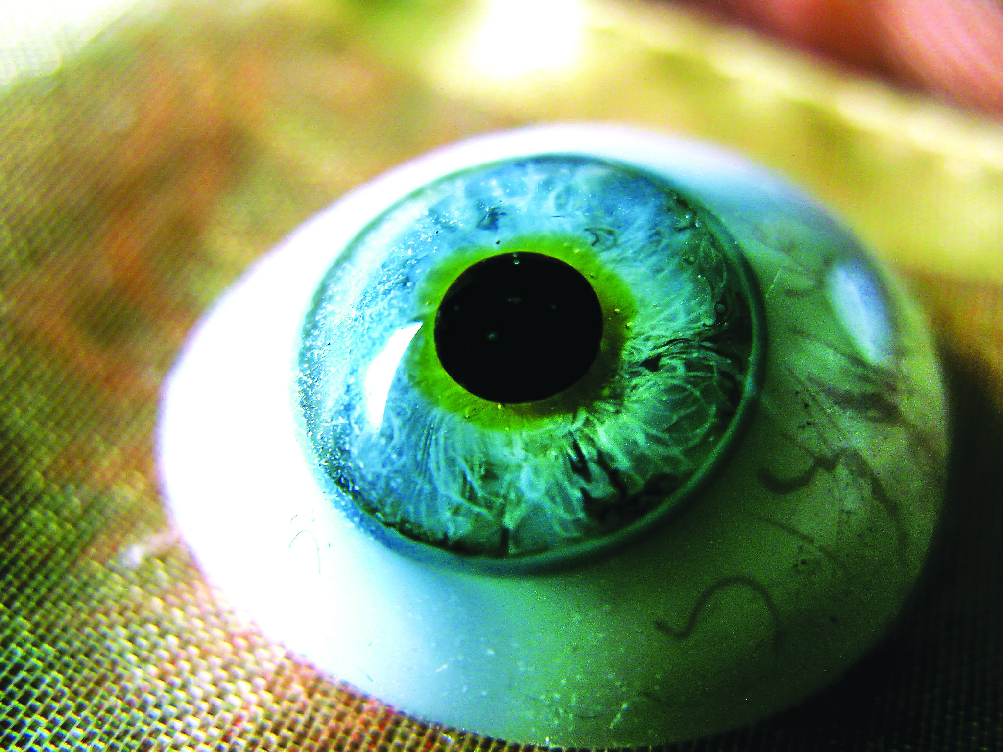 <em>Credit: glasseyes view; Flickr CC BY-SA 2.0</em>