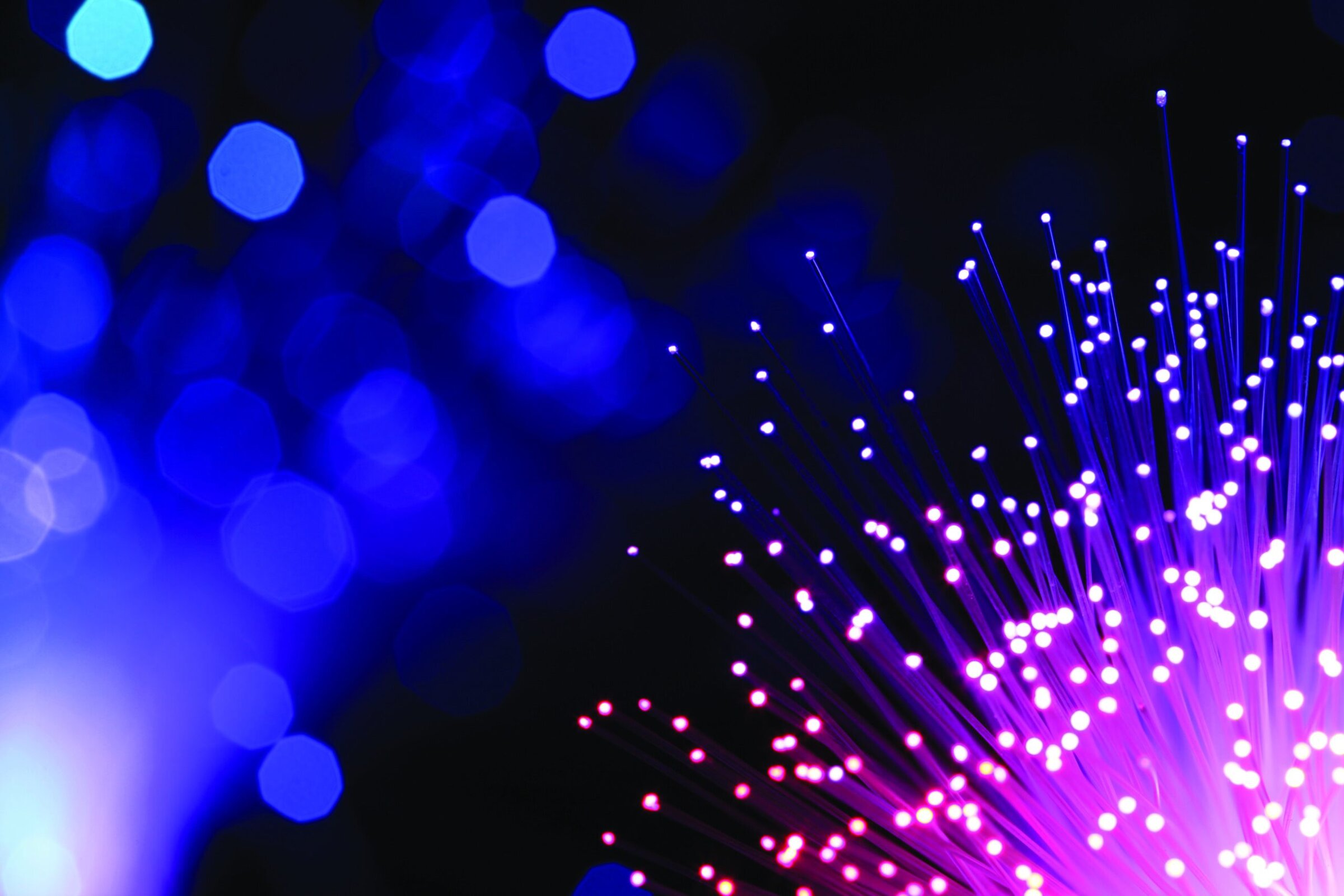 Fiber optic light strands glowing in vibrant purple and blue hues for advanced ceramics and optical technology.