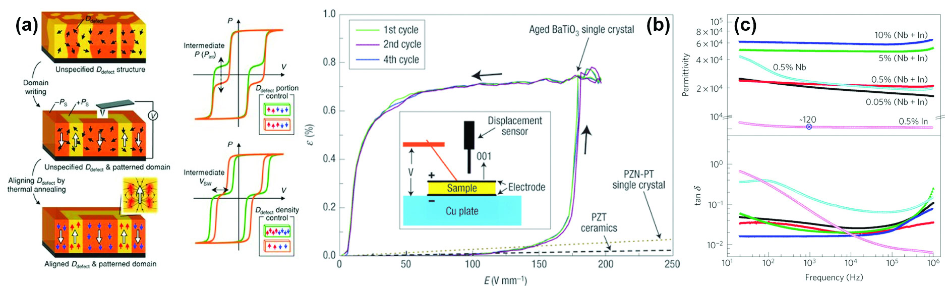 Defect structures in ceramics and their impact on electrical properties in advanced materials.