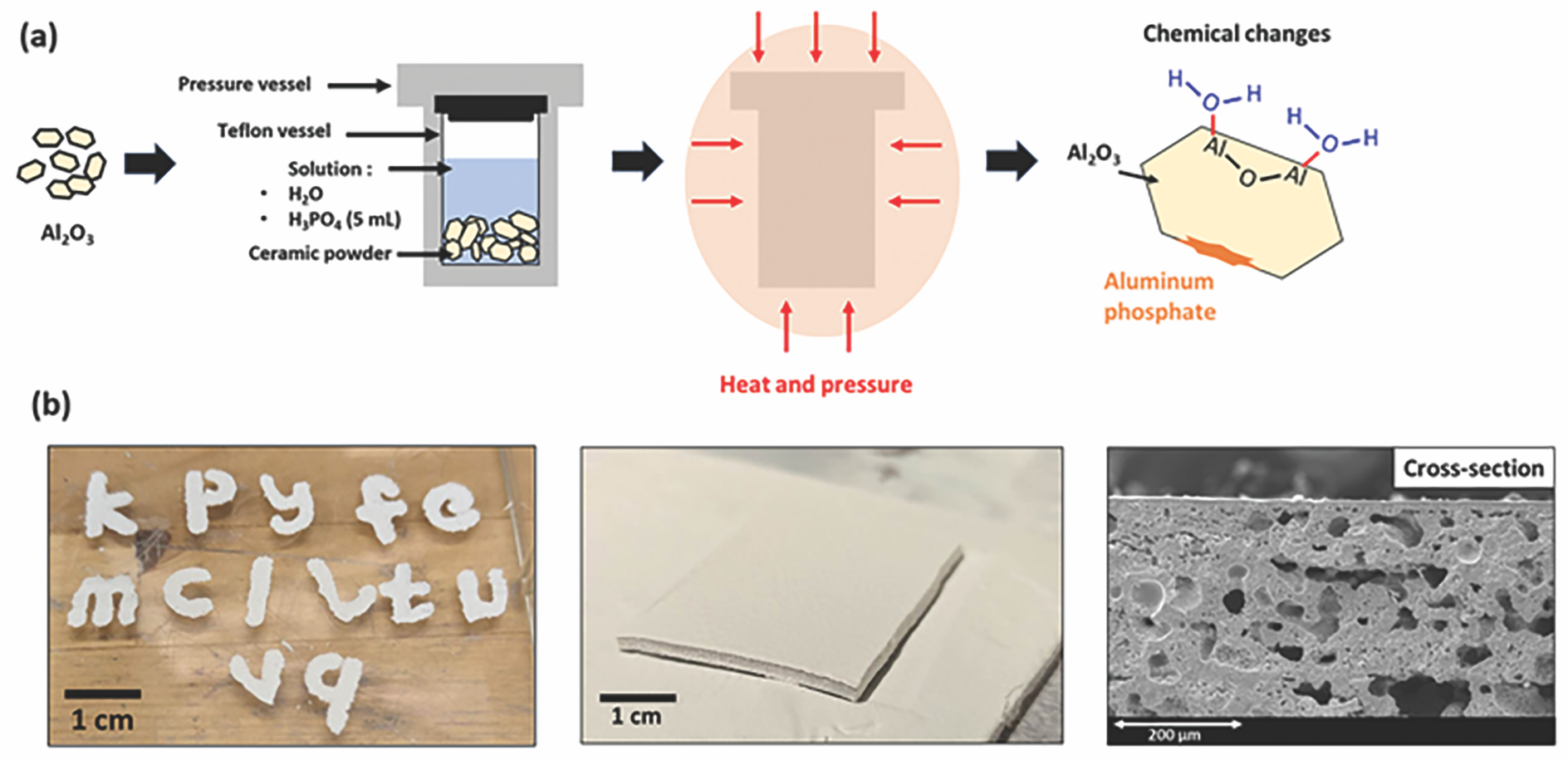Schematic of the hydrothermal treatment of alumina as well as photographs and scanning electron microscopy micrographs of the treated and shaped powder.