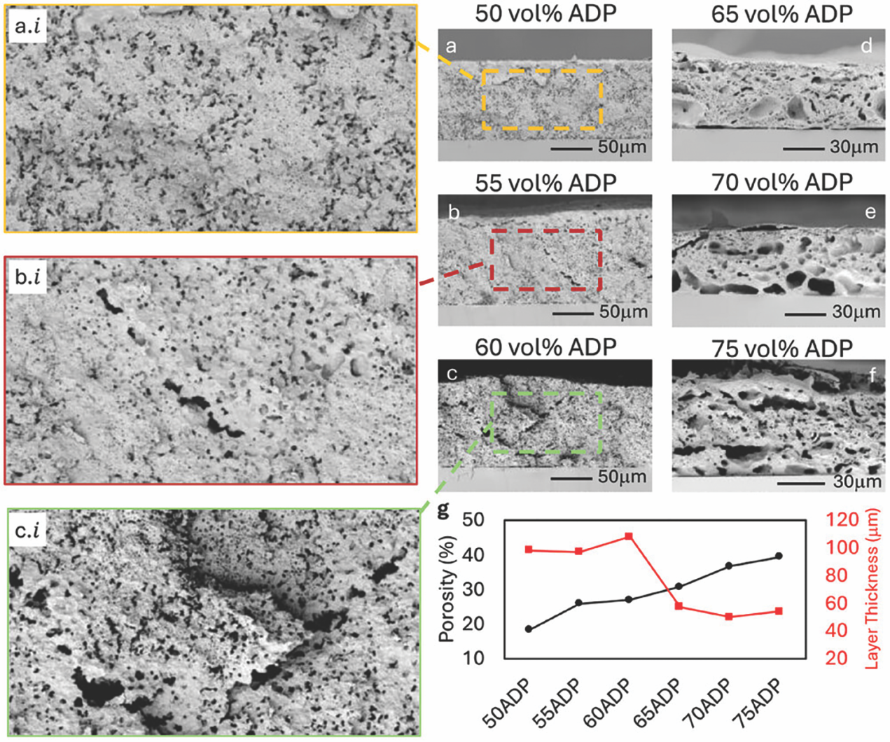 Cross-sectional scanning electron microscopy images of aluminum dihydrogen phosphate and aluminum layers.