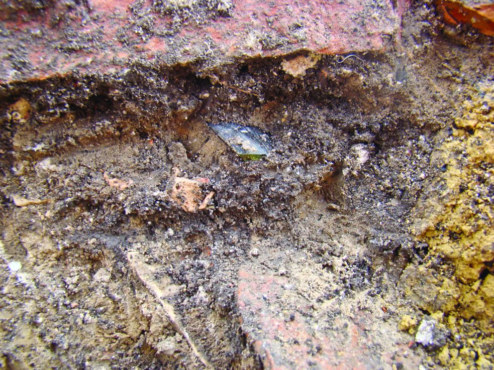 Dirt and soil embedded in a brick wall crack, close-up shot.