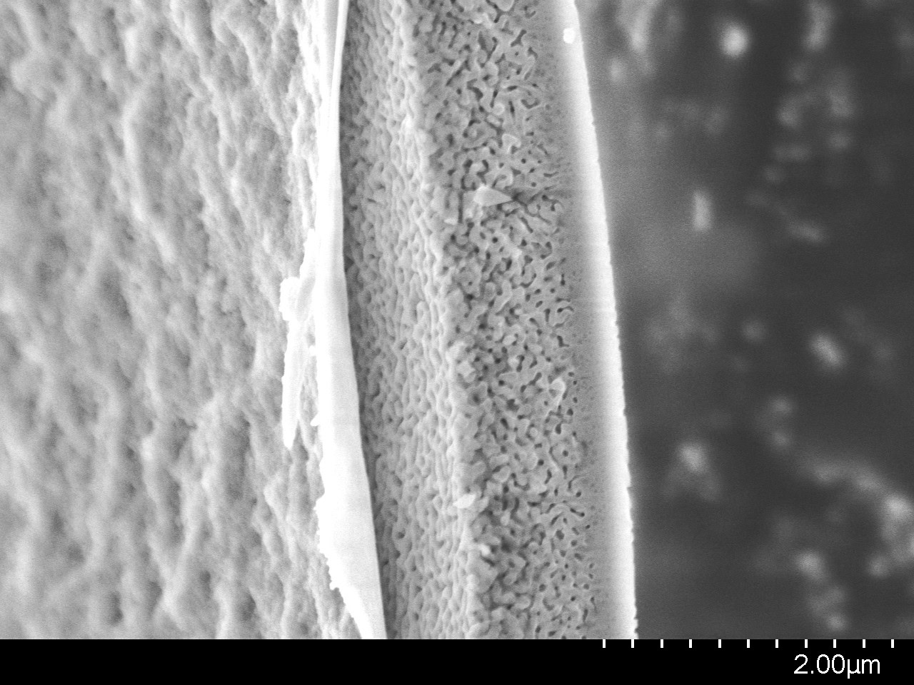 Microscopic view of ceramic material's porous structure for ceramics research and development.