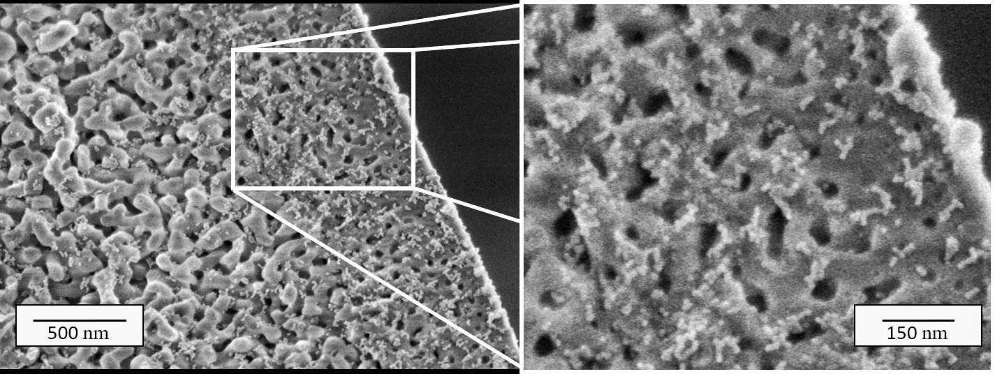 High-resolution SEM images of ceramic microstructures for materials science research.