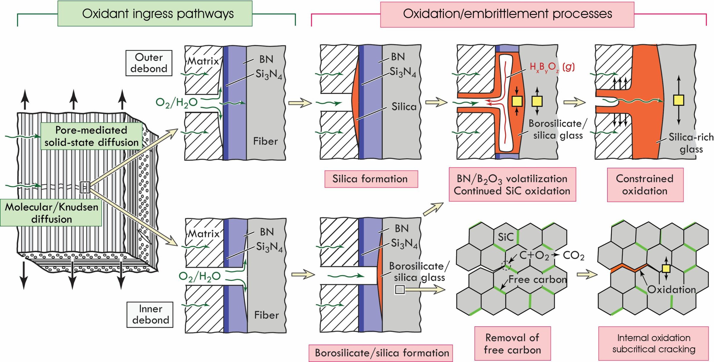 Silica formation in ceramic oxidation processes, featuring borosilicate and silica glass transformation.