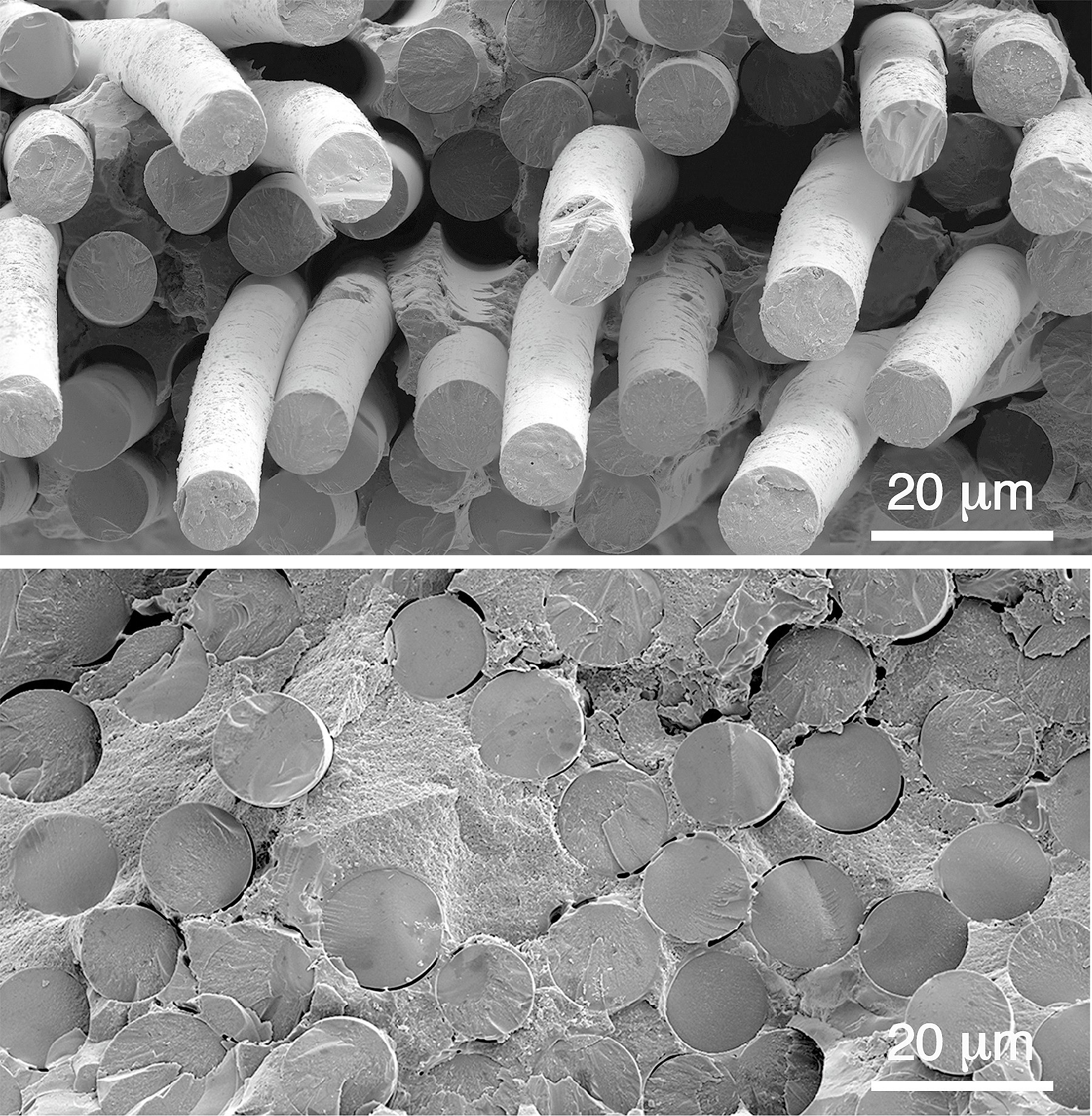 High-resolution scanning electron microscope images of ceramic microstructures for advanced materials research.