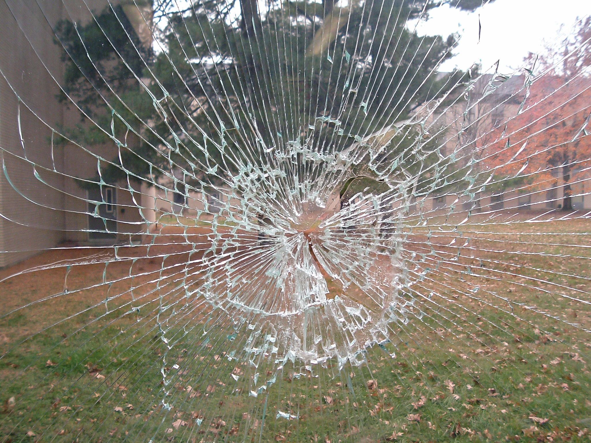 Cracked glass window with a spiderweb pattern, revealing a blurred outdoor scene.