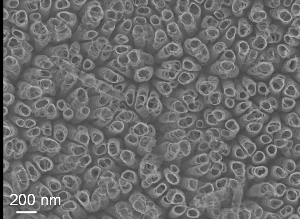 High-magnification SEM image of ceramic nanostructures with porous, tubular features.