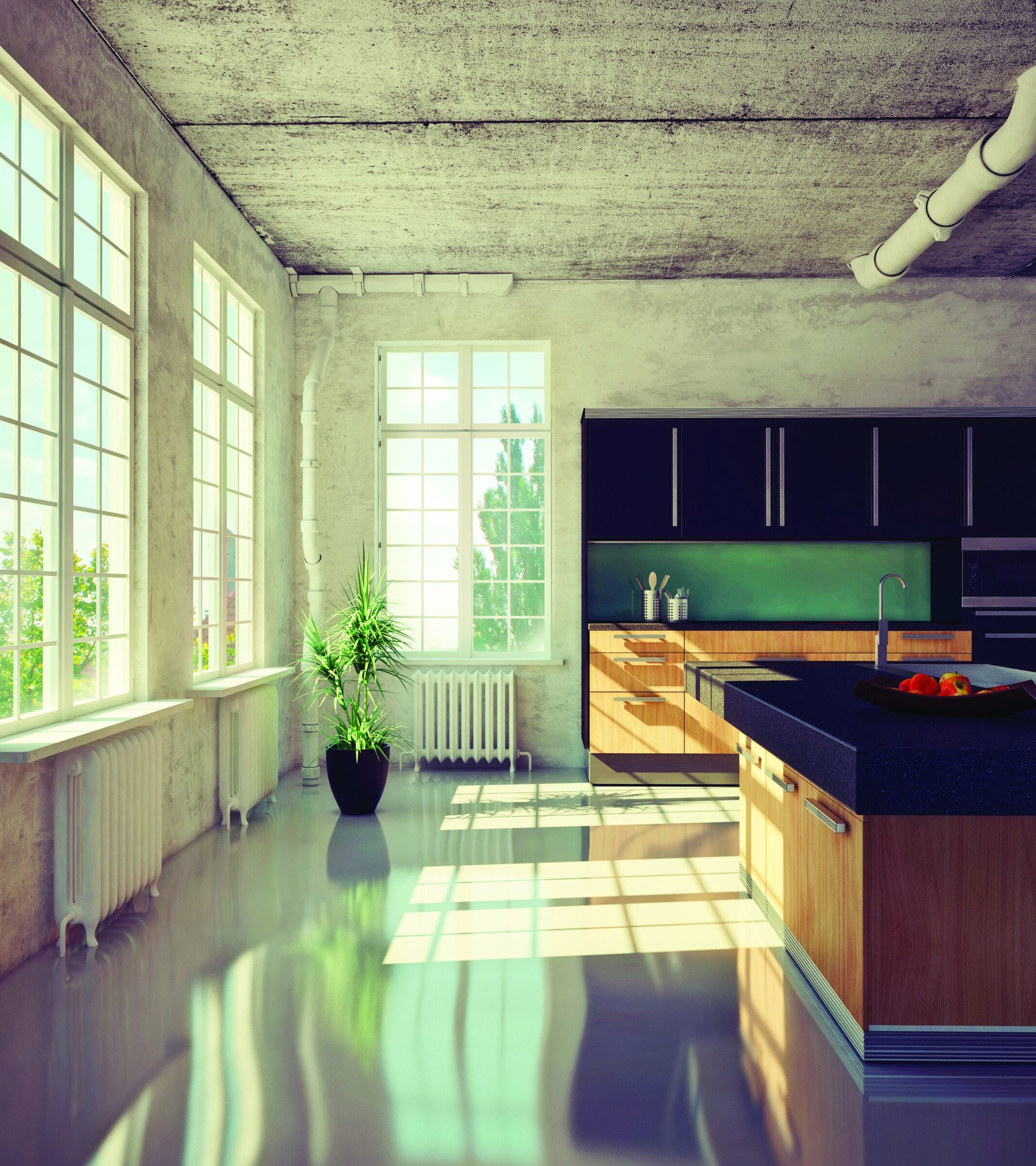 Bright modern kitchen with large windows, natural light, and black wood cabinetry.