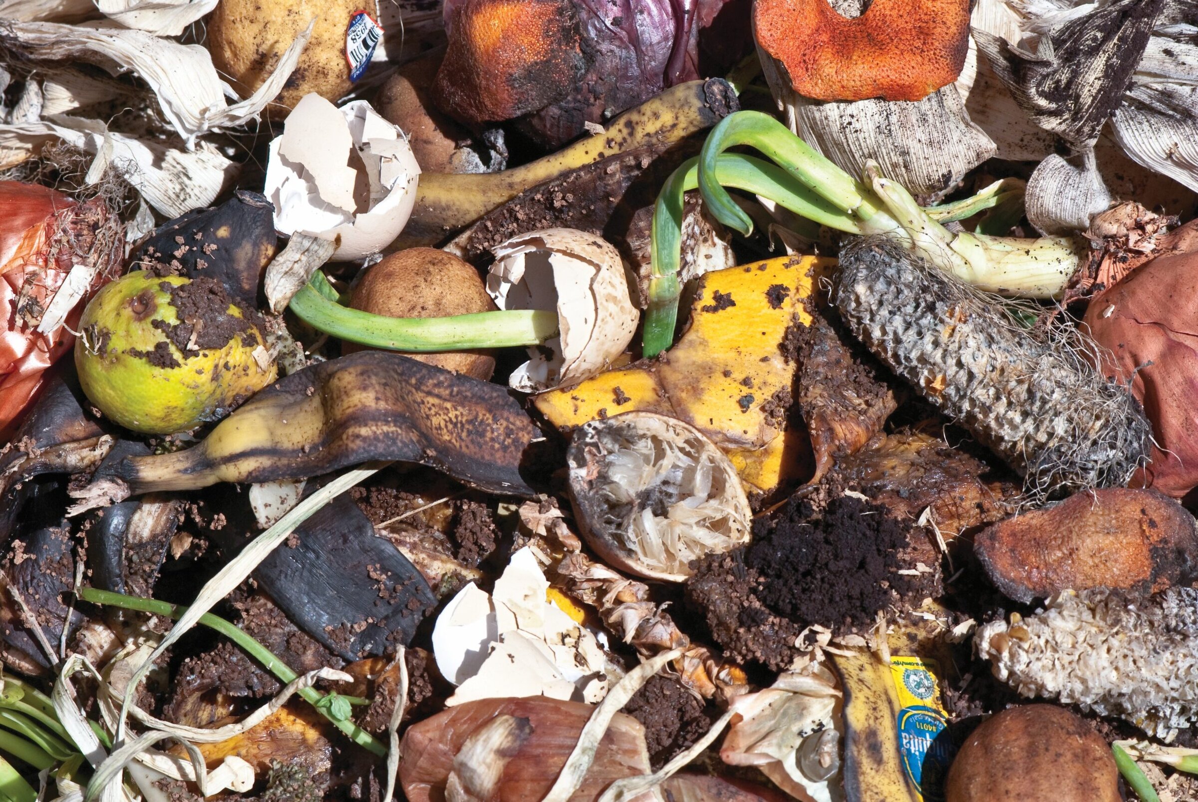 Decaying organic waste with rotten fruits, vegetables, and eggs, highlighting compostable materials and environmental impact.